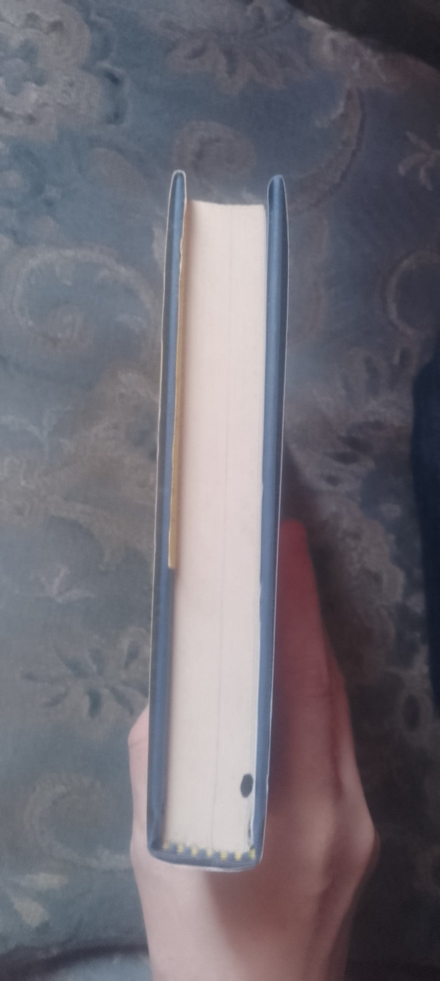 The Clearing: A Novel (Laughton Rees, 2) by Simon Toyne