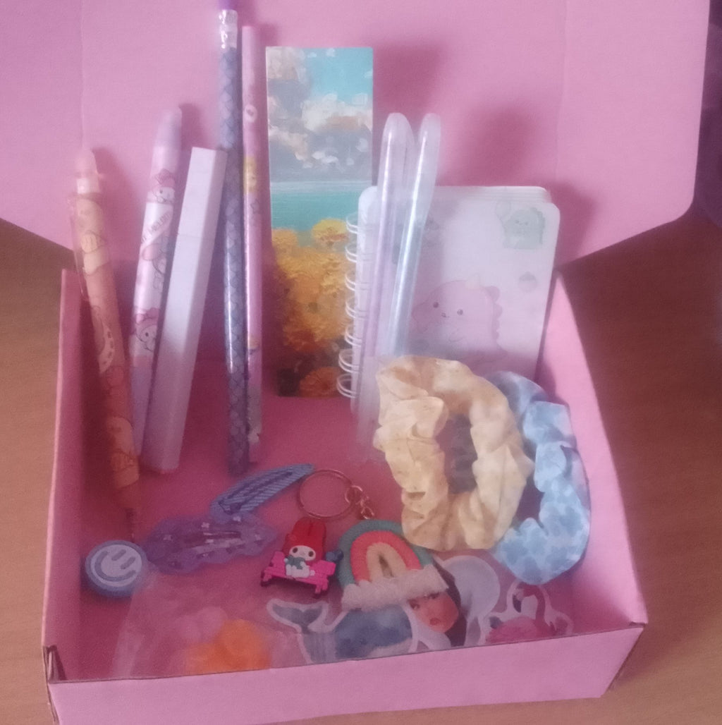 Mystery Stationery and Accessories Box