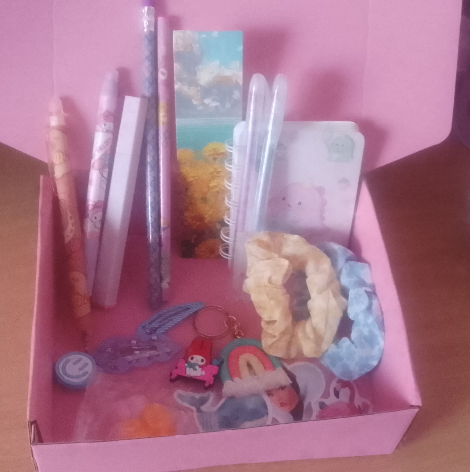 Mystery Stationery and Accessories Box