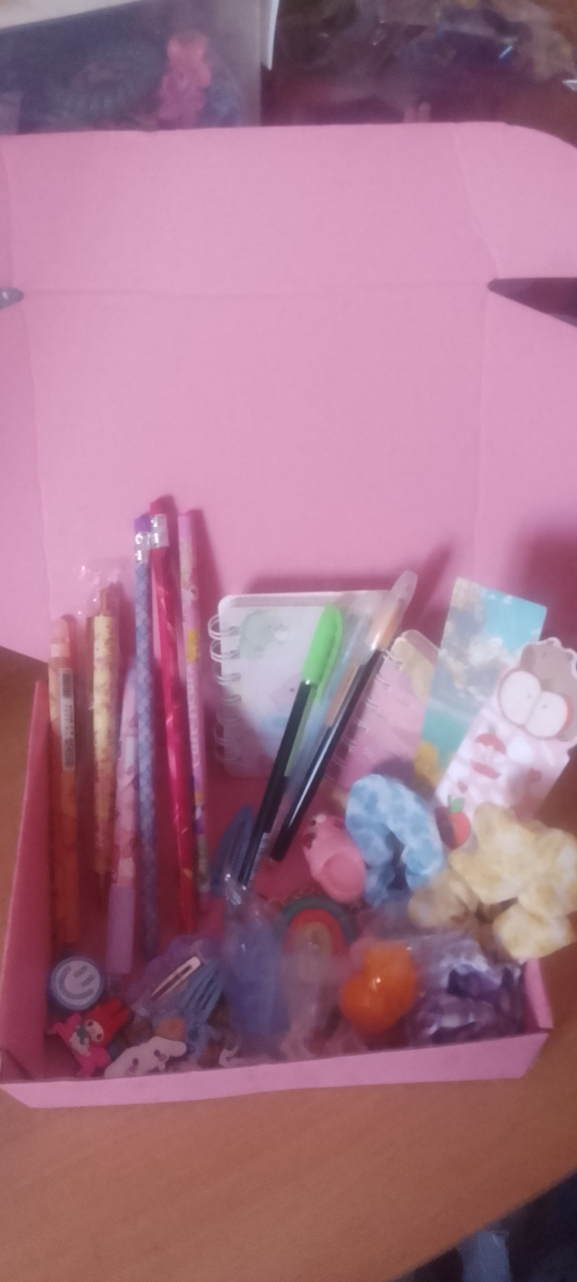 Mystery Stationery and Accessories Box