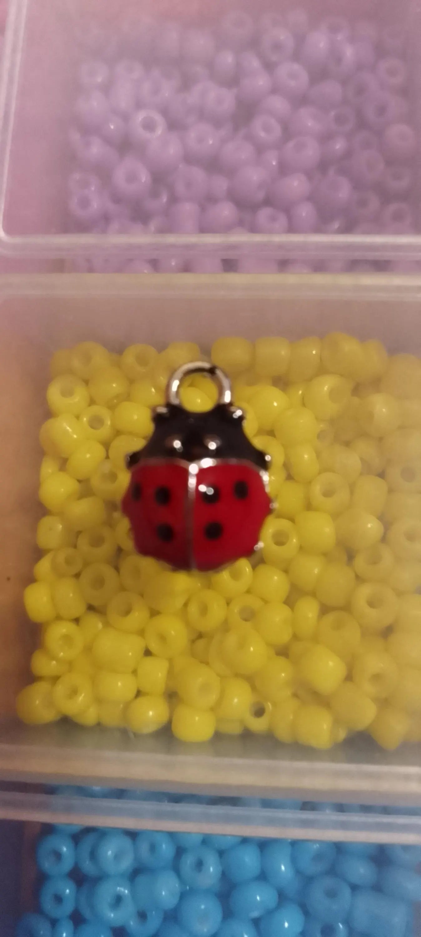 Ladybird Charms